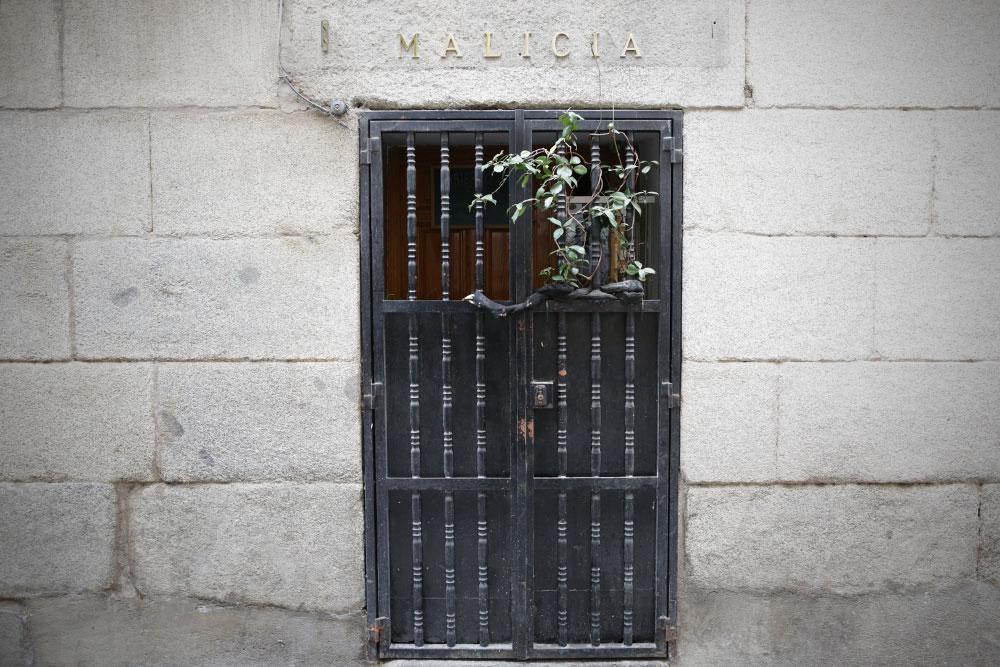 Malicia