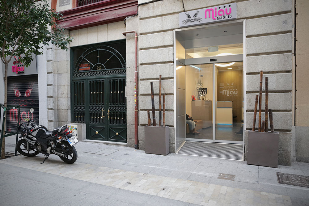 Hotel Miau